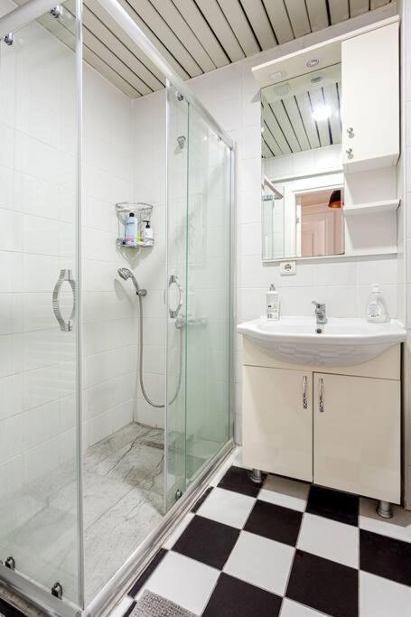 Location With 2 Bedrooms Apartament Istanbul